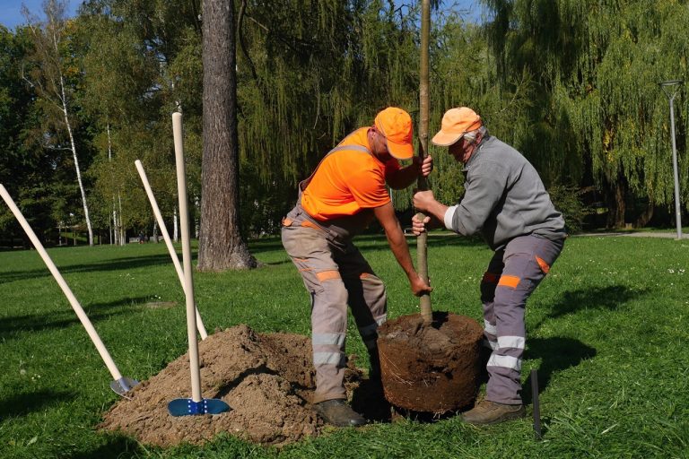 Výsadba spomienkovej lipy pre obete pandémie COVID-19