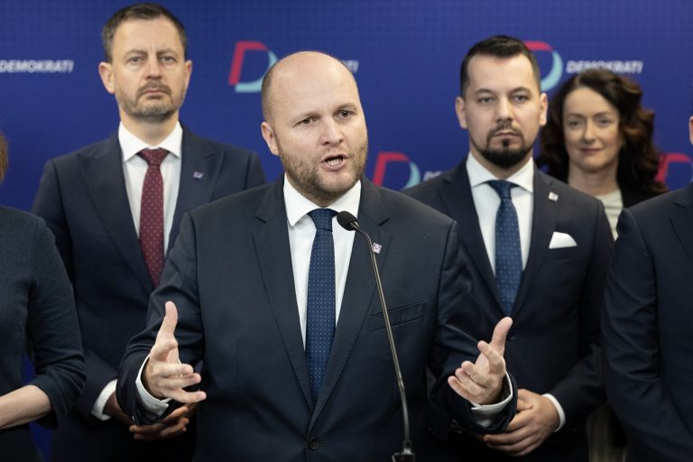 Demokratov do eurovolieb povedie Naď, nasledujú Hamran a Žitňanská