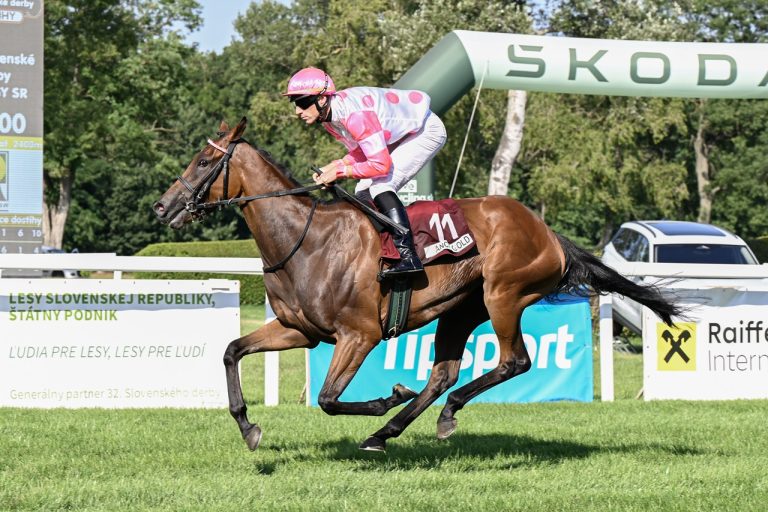 32. Slovenské derby