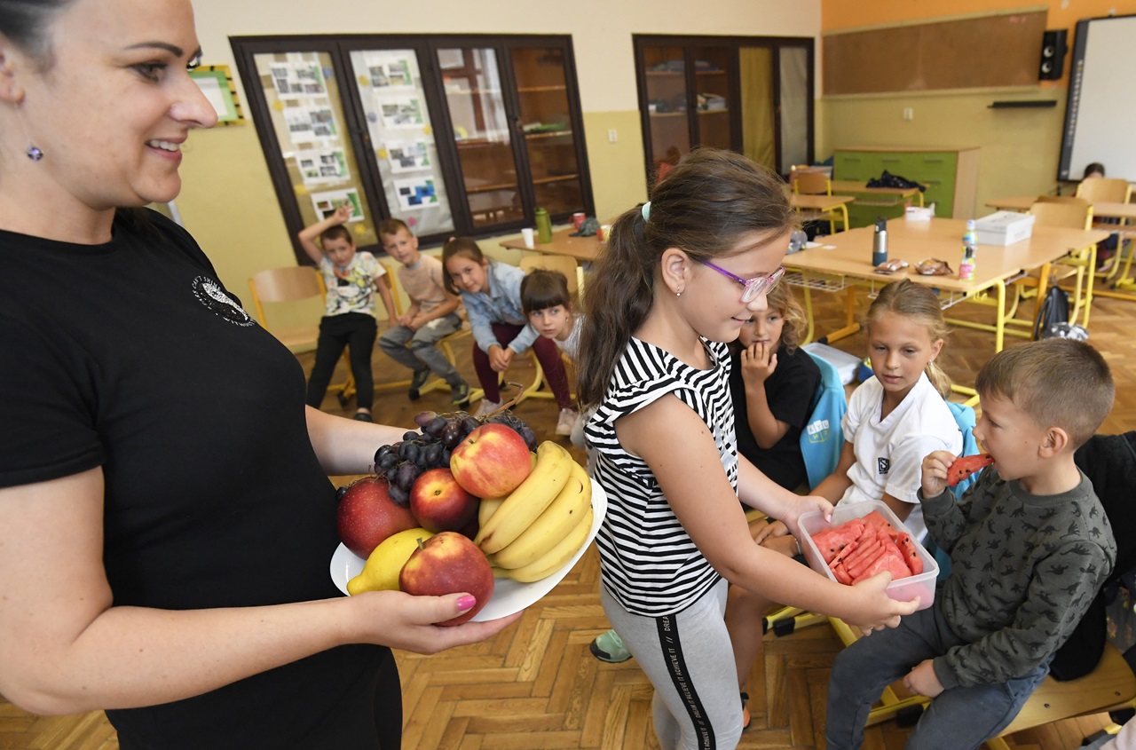 Letná škola v Základnej škole v Družstevnej pri Hornáde