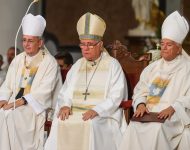 Národná púť v Šaštíne--Strážach