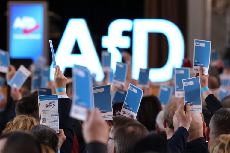 EP: Nemecká AfD pracuje na vytvorení novej frakcie