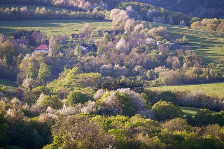 SLOVENSKO: Jar pod Veľkou Javorinou v Bielych Karpatoch