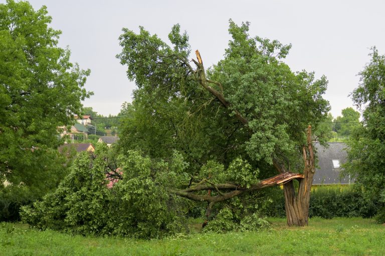 Prešov búrka