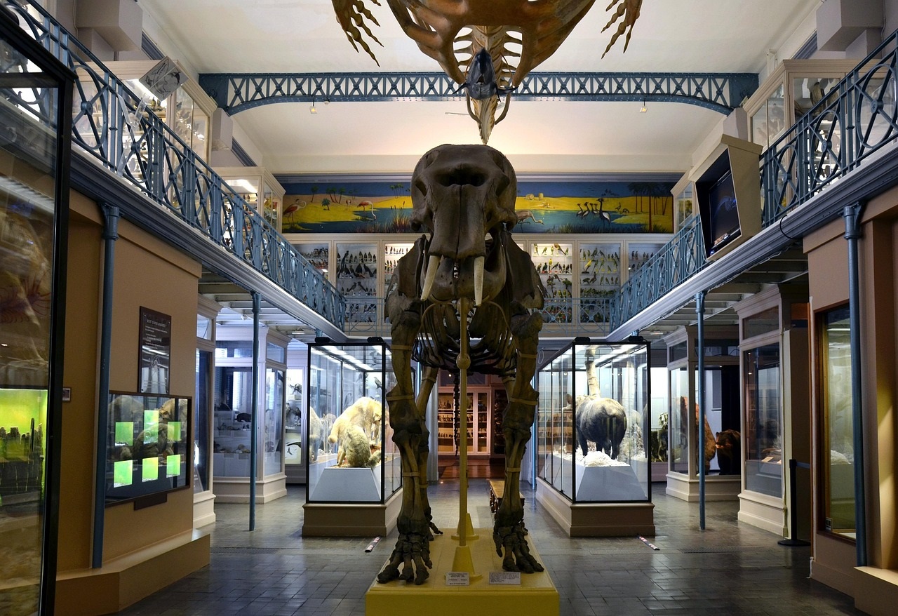 múzeum