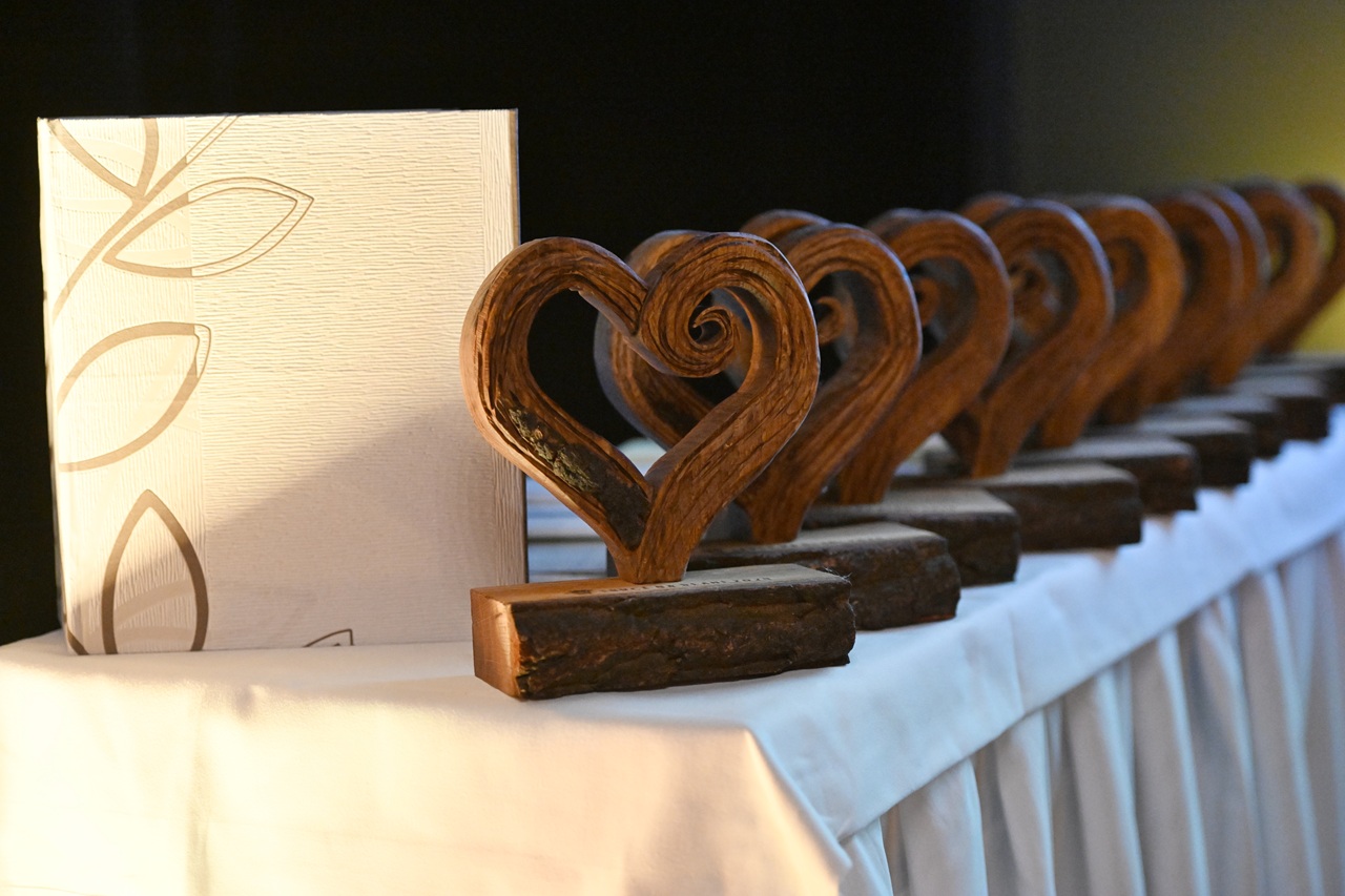 Srdce-na-dlani-jd2025112730