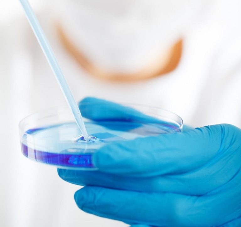 Petriho miska vedec výskum laboratórium