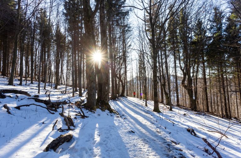 Lúčanská Malá Fatra Kľak