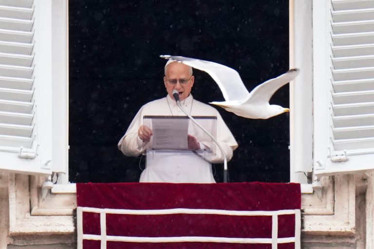 pápež Lev XIV.