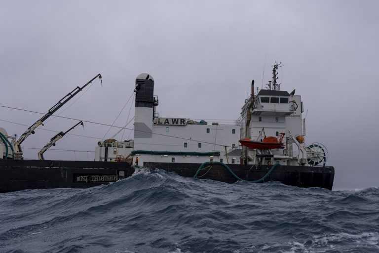 Antarctic Sea-jd2026040219