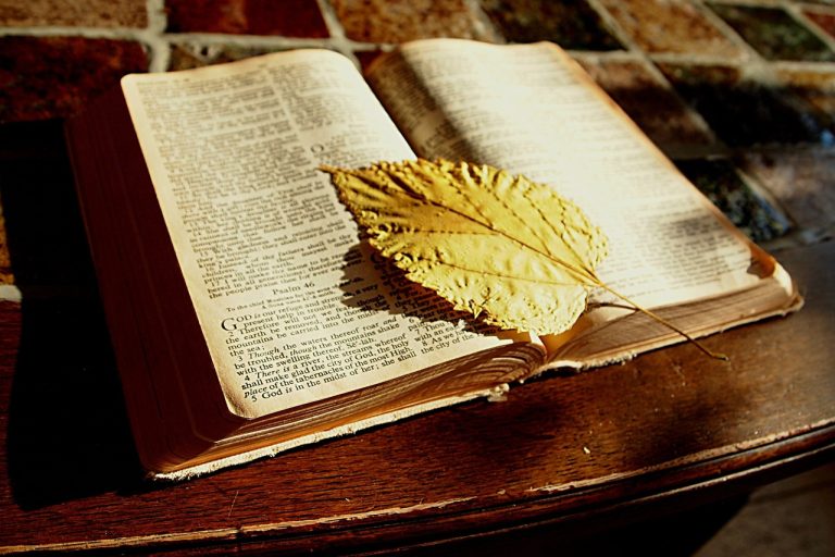 biblia-jd2026040628