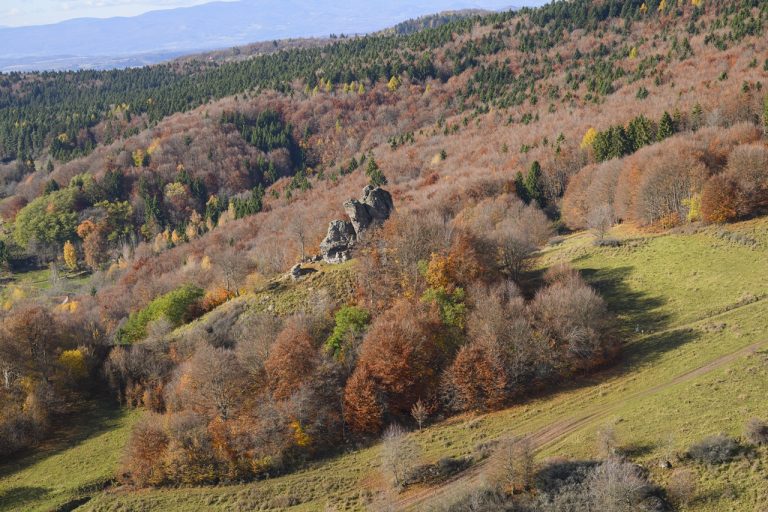 Poľana