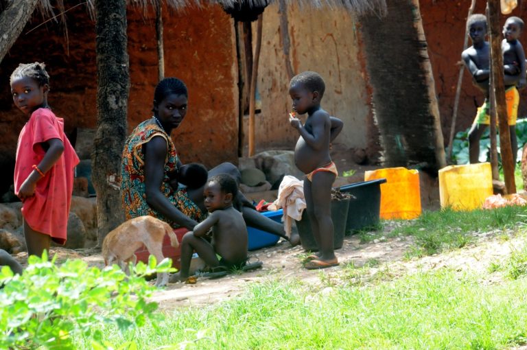 Guinea deti