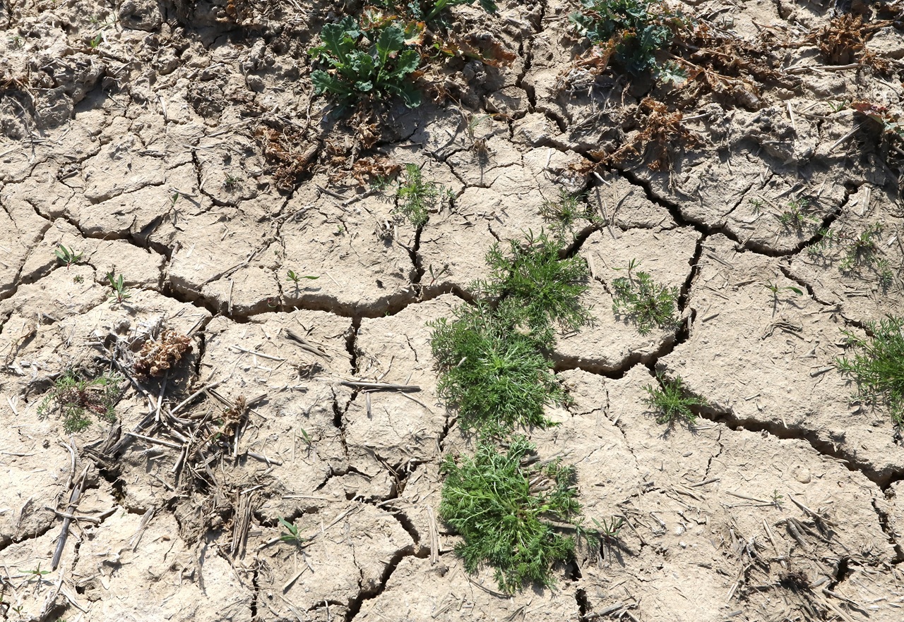 sucho slovensko pôda