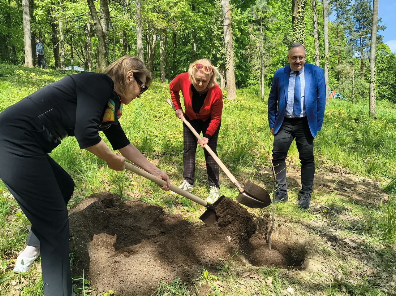 Botanická záhrada sadenie lipa Živena