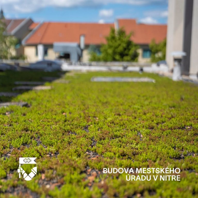 zelená strecha Nitra
