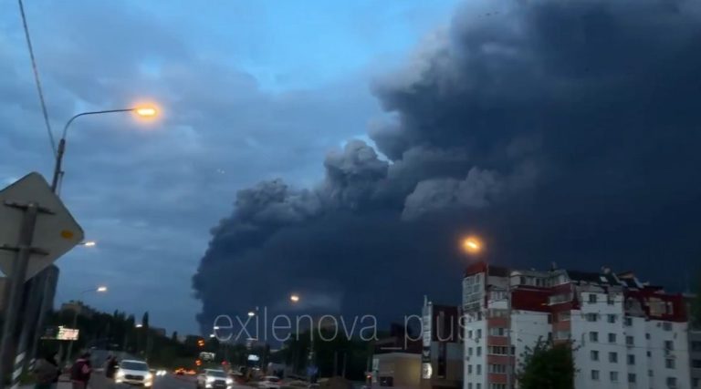 vojna
