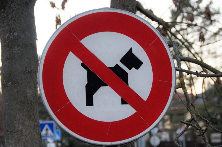 zákaz